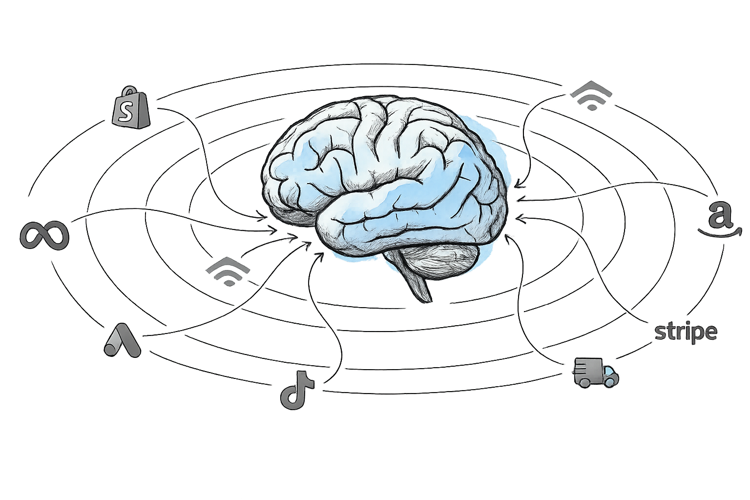 Klairo Connected Brain Diagram